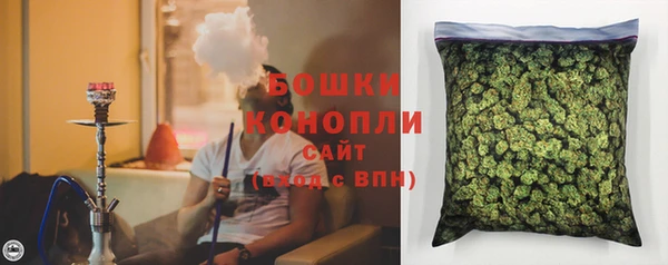 мдпв Пересвет