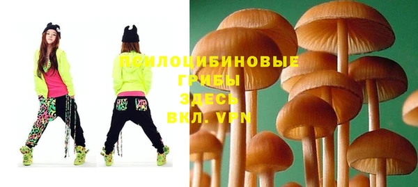 мдпв Пересвет