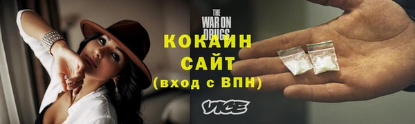 мдпв Пересвет