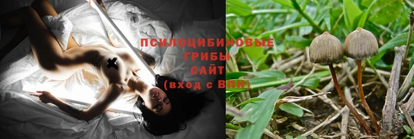 стафф Переславль-Залесский