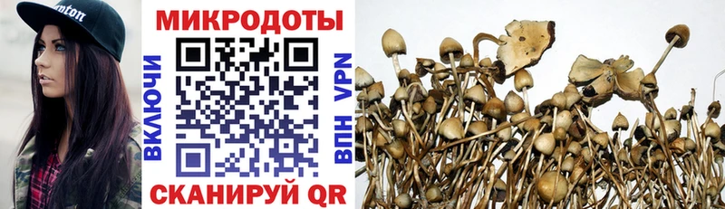 Галлюциногенные грибы GOLDEN TEACHER  что такое наркотик  Порхов 